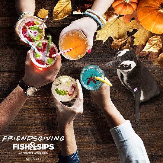 Fish & Sips Happy Hour at OdySea Aquarium