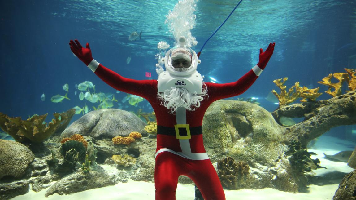 Discover Salt River Discover Salt River