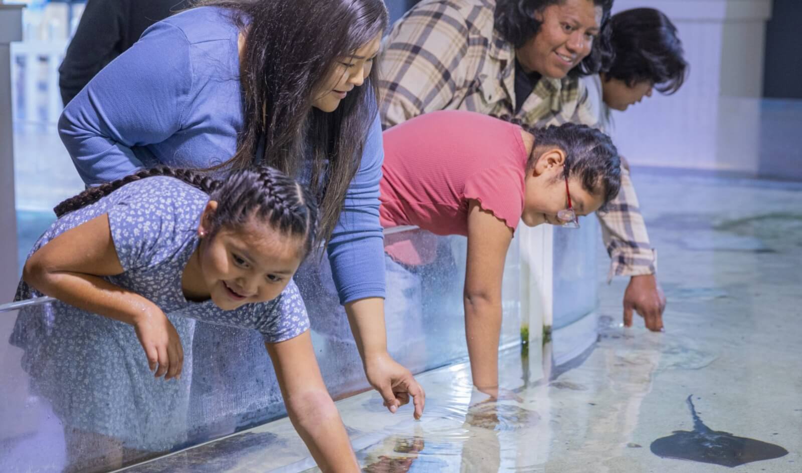 5 Days with the Family in Salt River odysea aquarium at arizona boardwalk