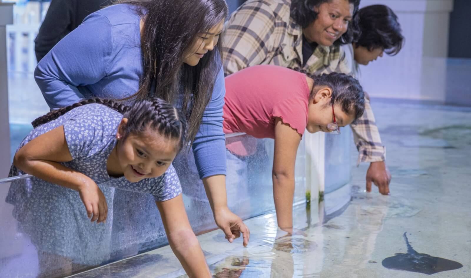 odysea aquarium at arizona boardwalk