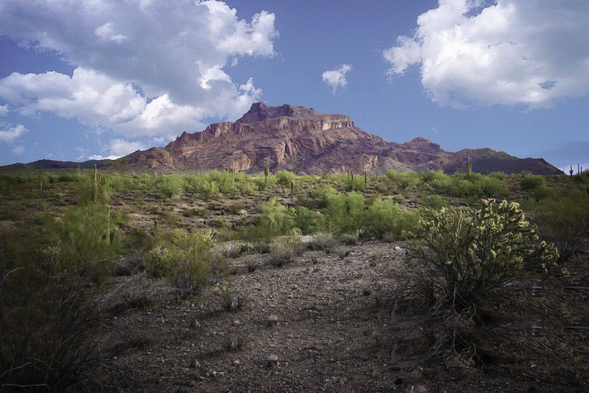Visitor Center Red mountain