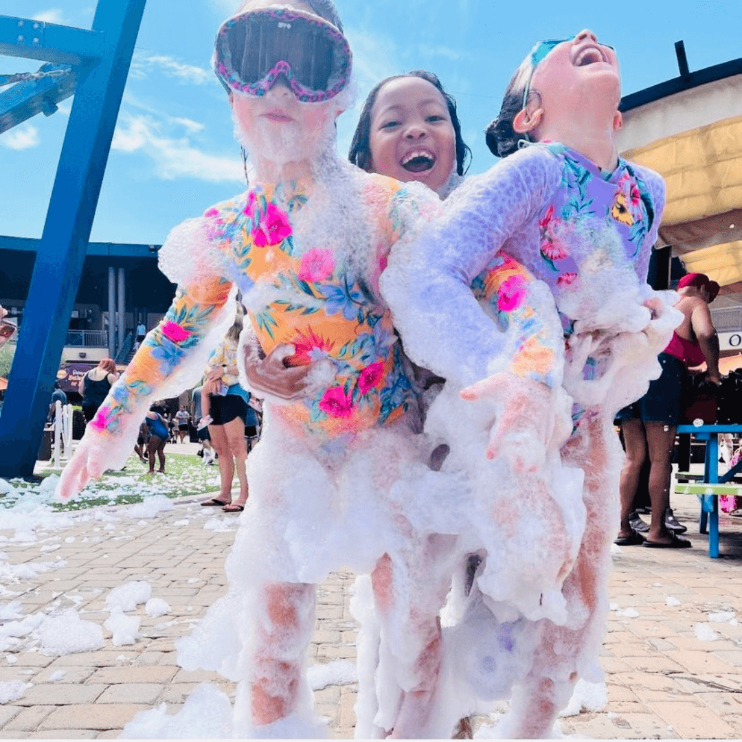 Discover Salt River Discover Salt River