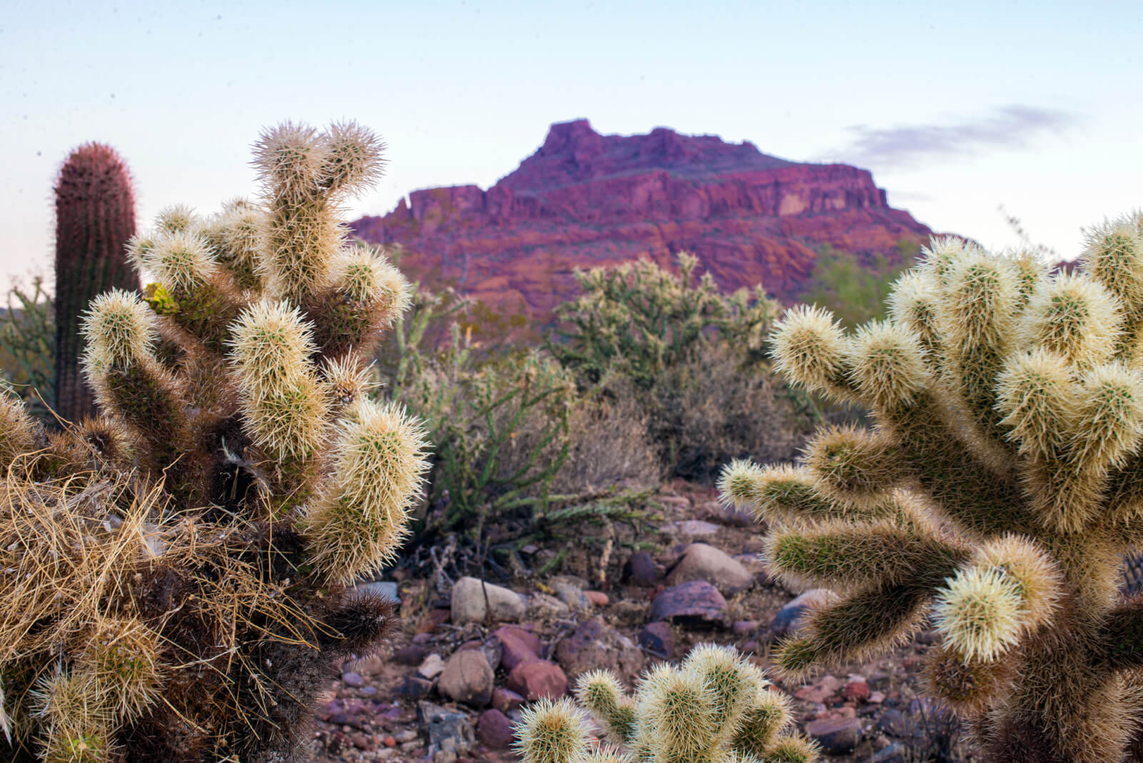 Salt River Pima-Maricopa Indian Community Employee Resources