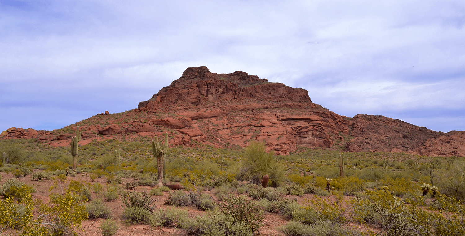 Explore the Salt River Reservation