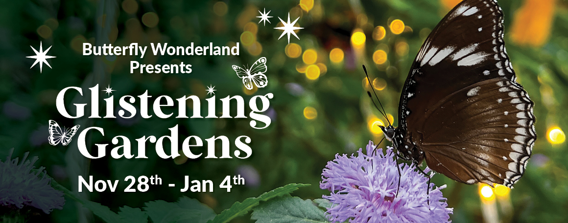 Events Calendar Events Calendar