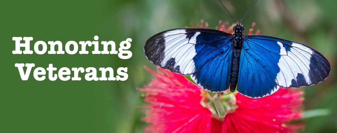 Events Calendar Events Calendar