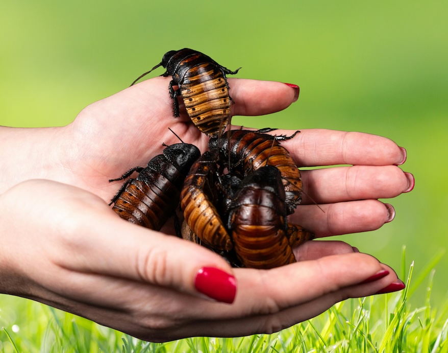 Upcoming Events Upcoming Events