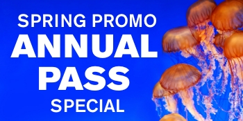 Events Calendar Events Calendar