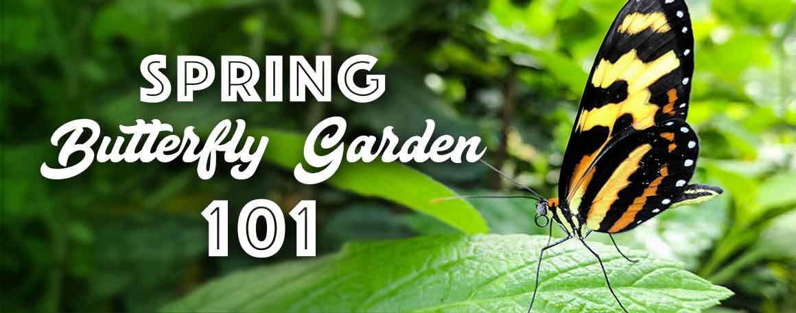 Events Calendar Events Calendar