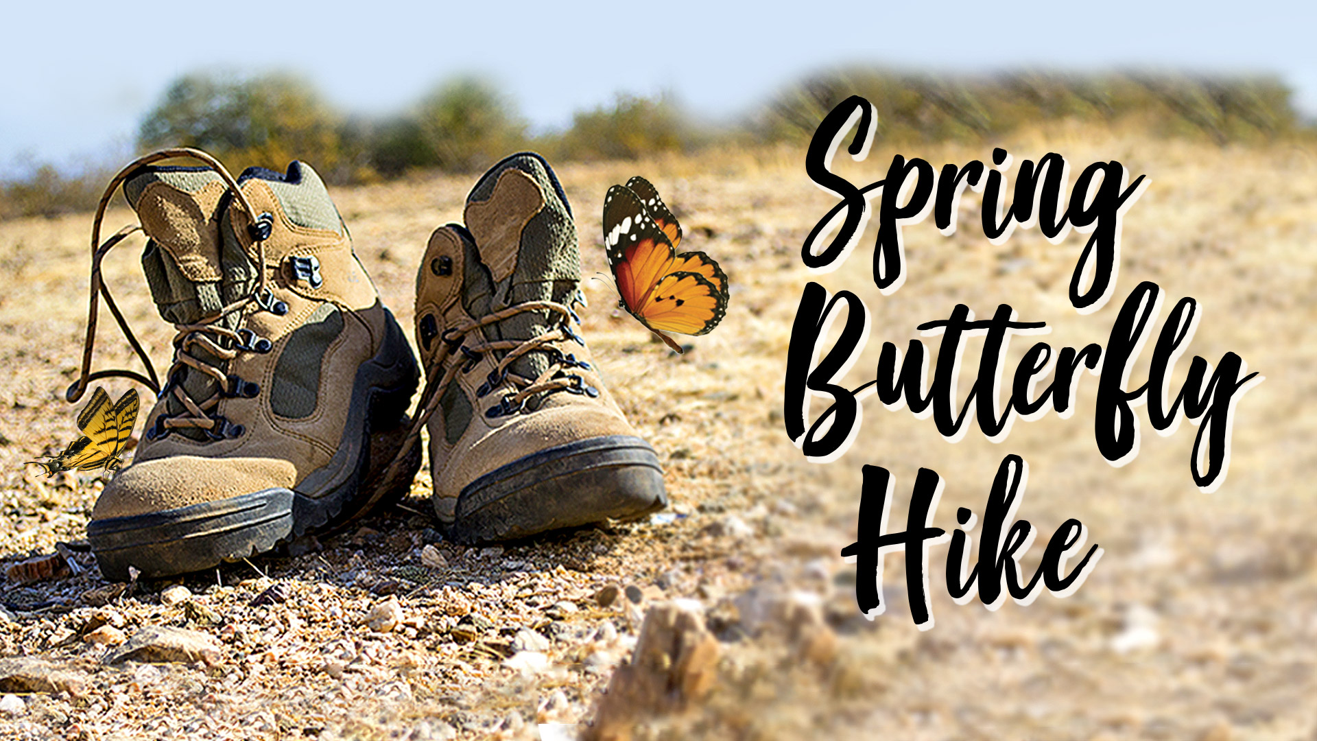 Events Calendar Events Calendar